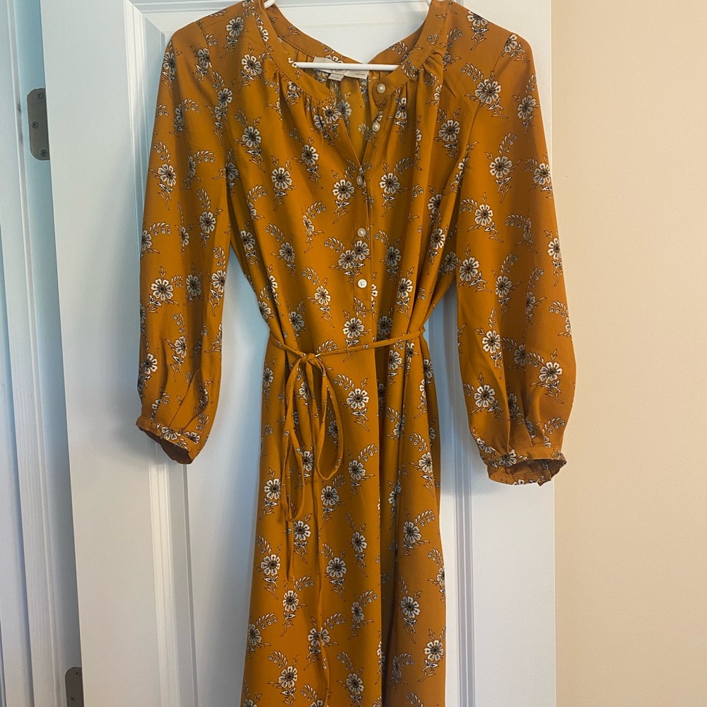 Women’s dress